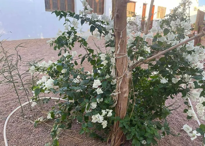 Holidays * Dahab